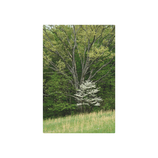 Nature-Inspired Metal Art Sign | Rustic Home Decor, Wall Art, Gardening Gift, Outdoor Decor, Unique Gift for Nature Lovers