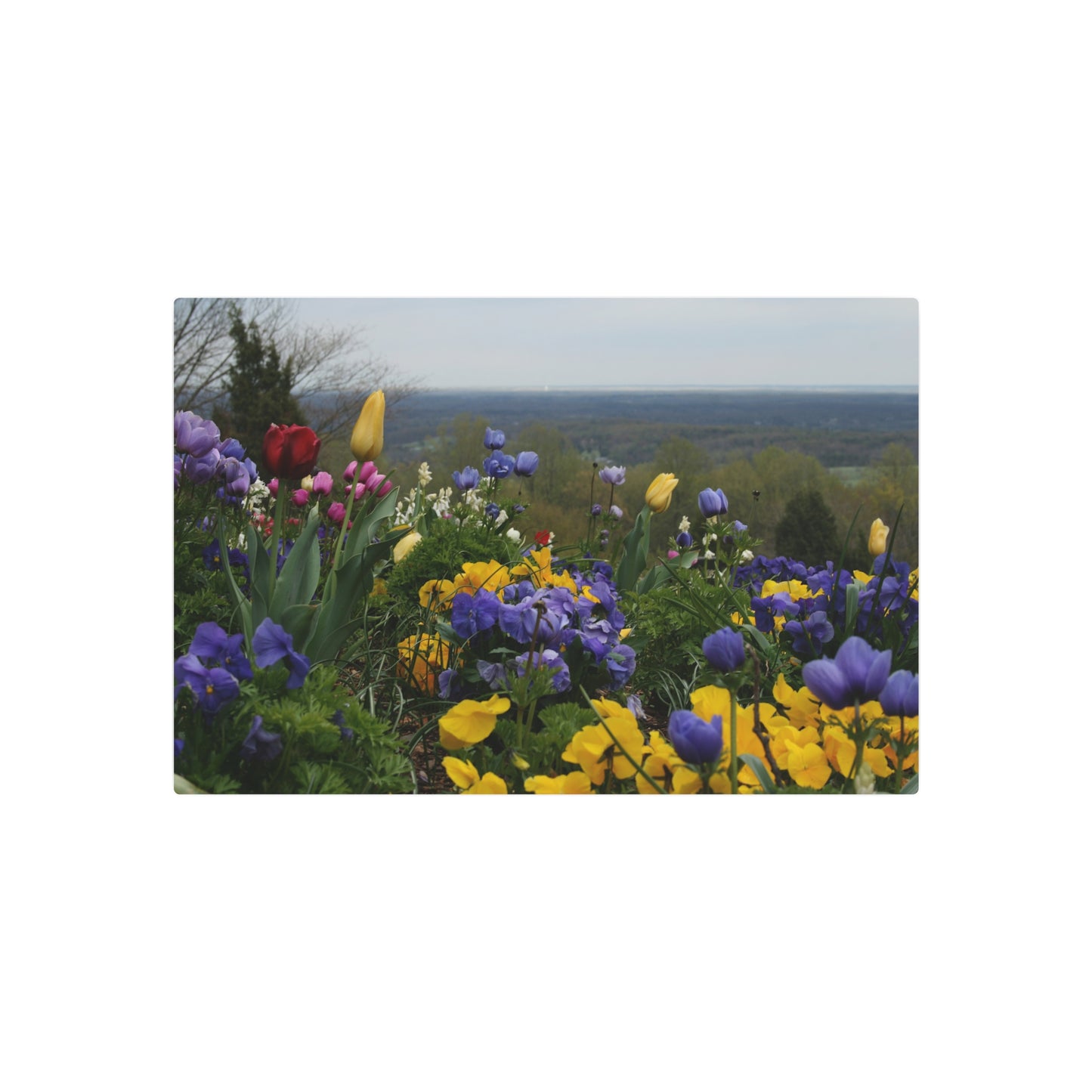 Floral Metal Art Sign, Garden Wall Decor, Outdoor Decoration, Nature Lovers Gift, Home Aesthetic, Spring Decor