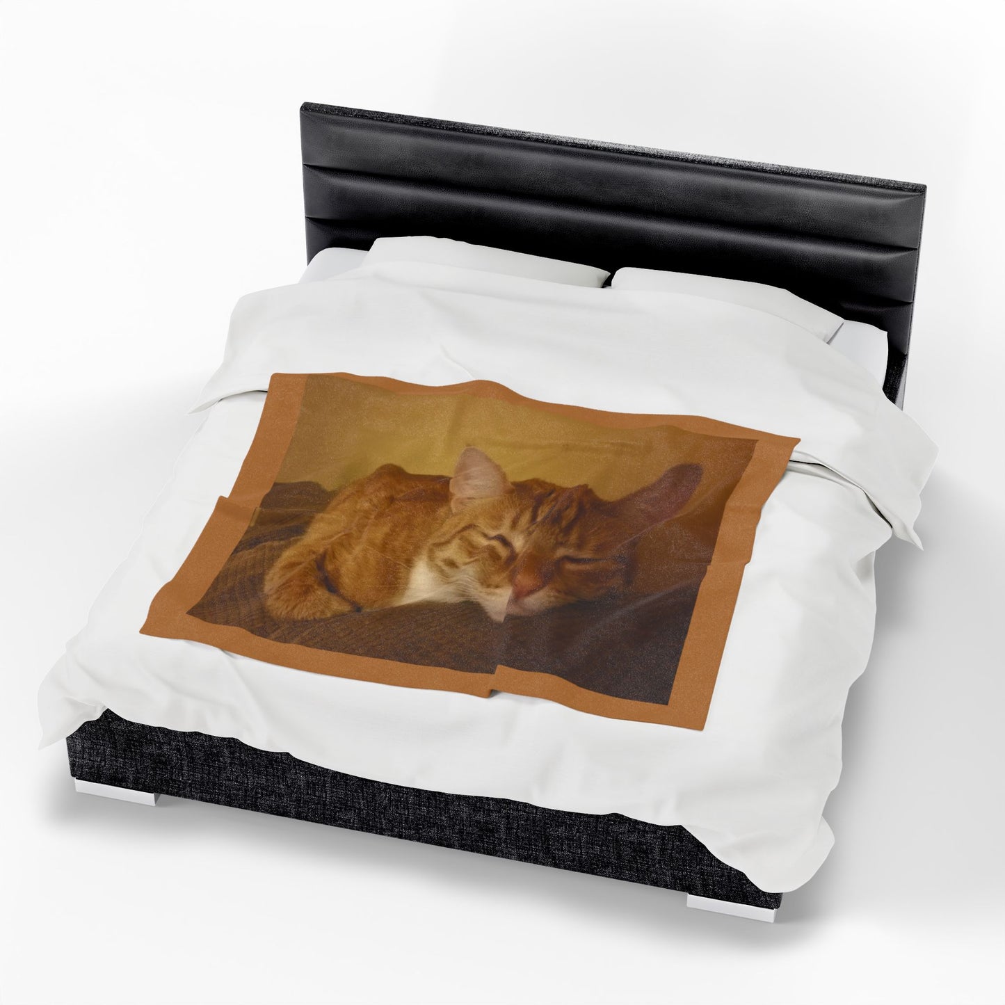 Velveteen Plush Blanket to Keep Your Pet Close