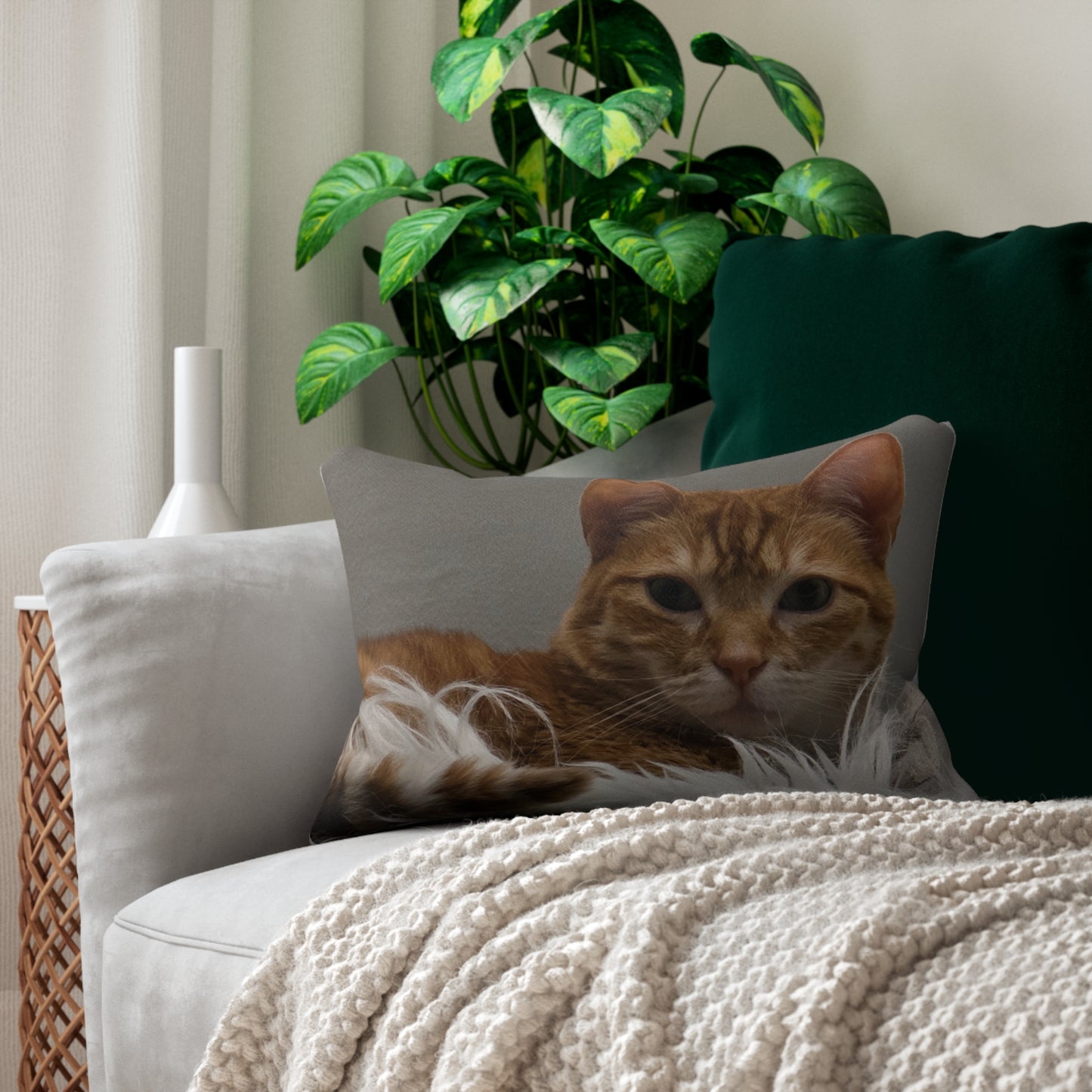 Favorite Pet Pillow Keeps Your Friend Close