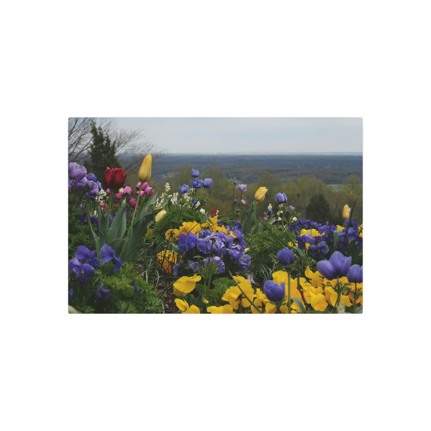 Floral Metal Art Sign, Garden Wall Decor, Outdoor Decoration, Nature Lovers Gift, Home Aesthetic, Spring Decor