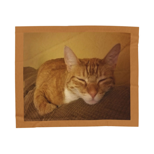 Velveteen Plush Blanket to Keep Your Pet Close