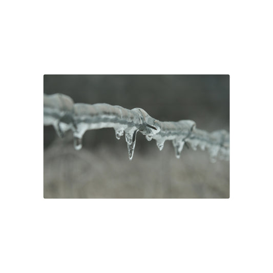 Metal Wall Art, Barbed Wire Fence Wrapped In Ice