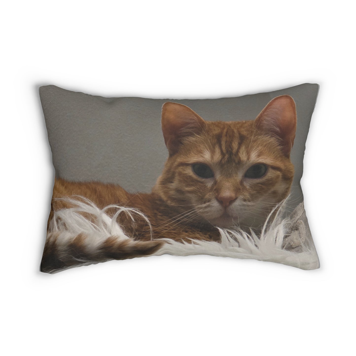 Favorite Pet Pillow Keeps Your Friend Close