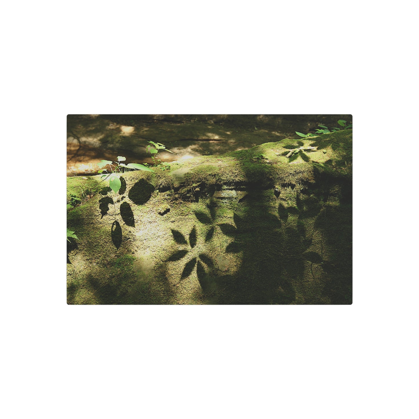 Nature-Inspired Metal Art Sign, Rustic Home Decor, Garden Wall Art, Unique Gift for Nature Lovers, Outdoor Wall Decor, Handcrafted Art, Forest Shadows