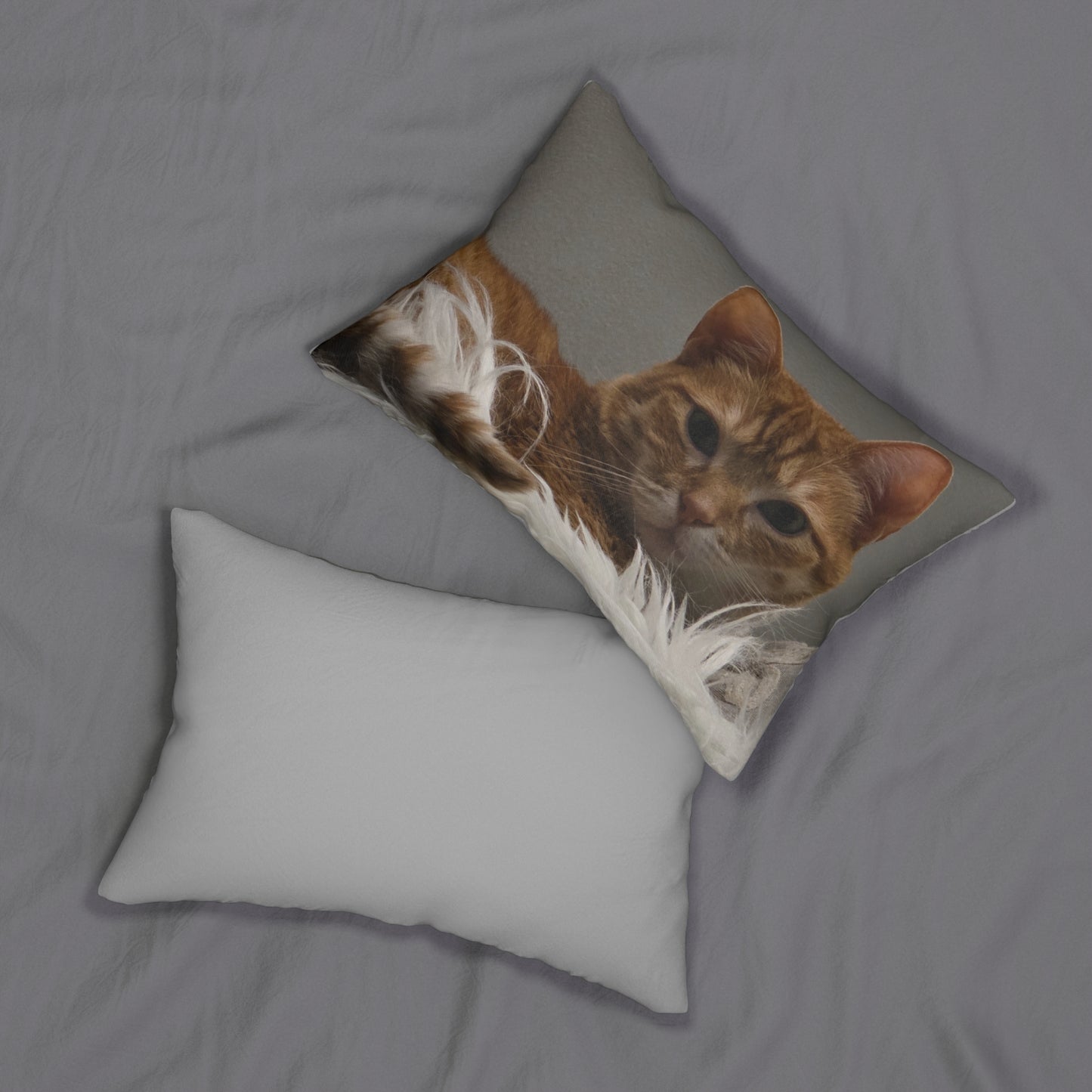 Favorite Pet Pillow Keeps Your Friend Close