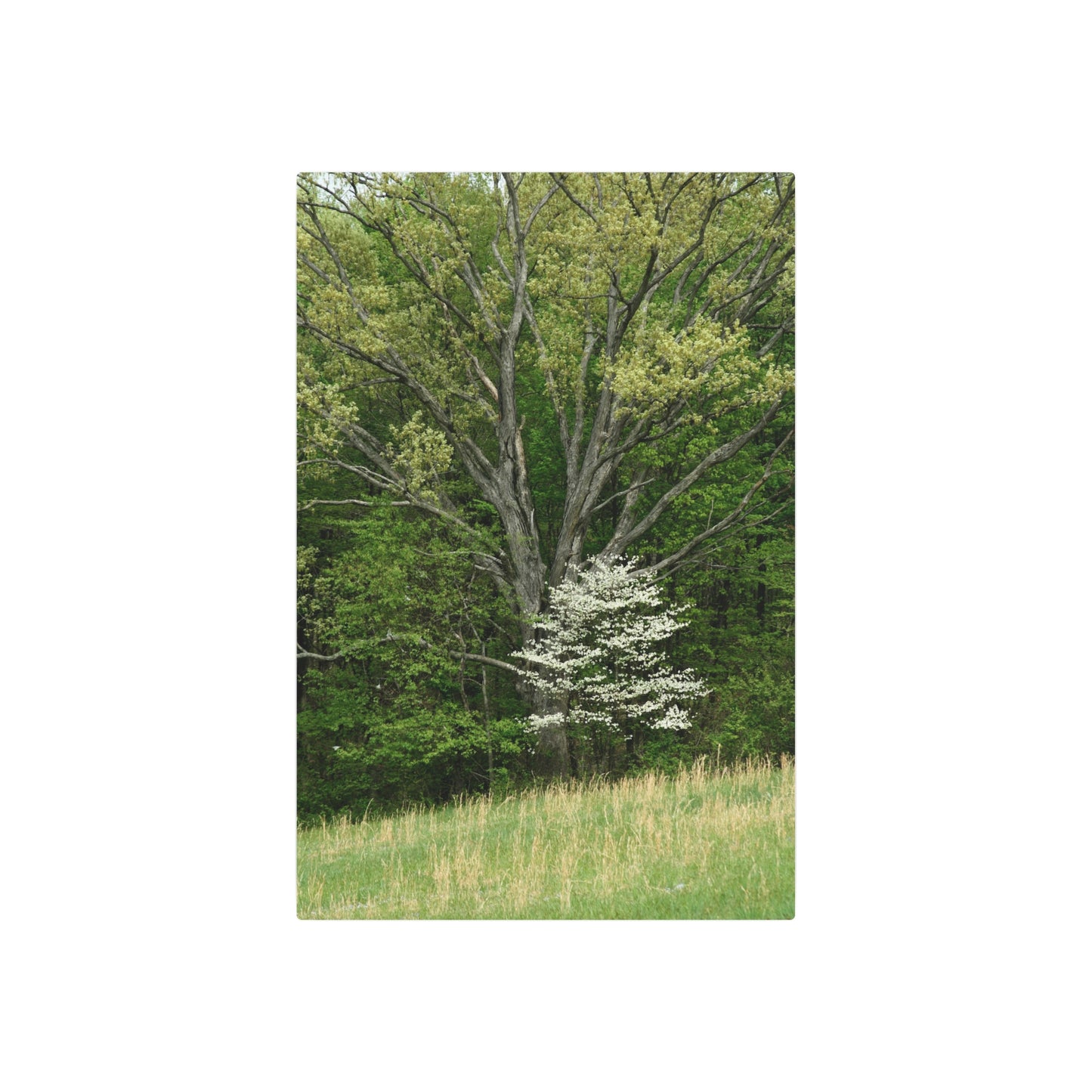 Nature-Inspired Metal Art Sign | Rustic Home Decor, Wall Art, Gardening Gift, Outdoor Decor, Unique Gift for Nature Lovers