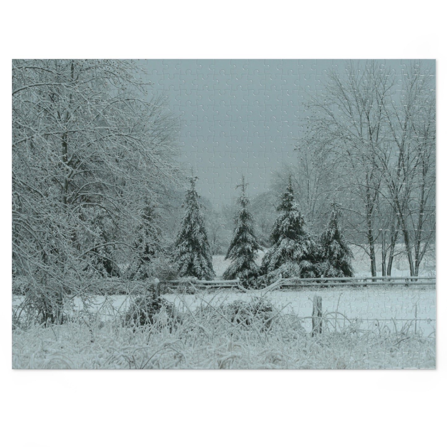 Jigsaw Puzzle with Tin For Family Nights